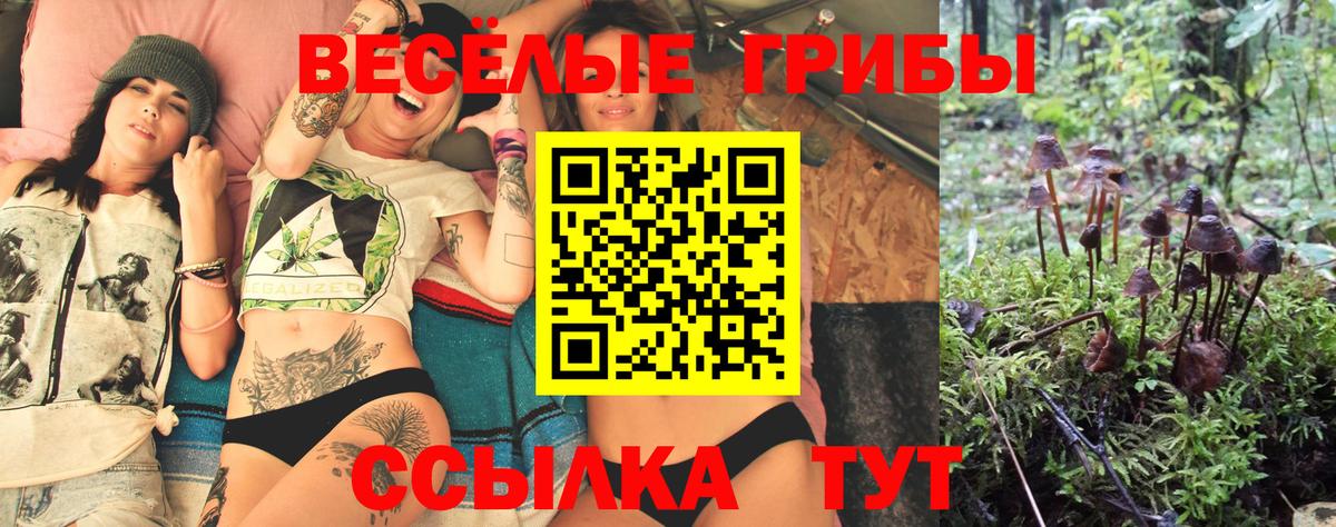 Галлюциногенные грибы Cubensis  Псилоцибиновые грибы Magic Shrooms  Вход с VPN  купить наркотик  Нижнеудинск 